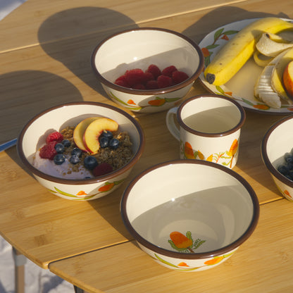 Enamel Bowl Mixed Bundle x4